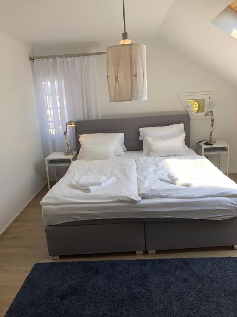 Zum Bahnhoefle Restaurant & - Am Rhein Hotel Albbruck