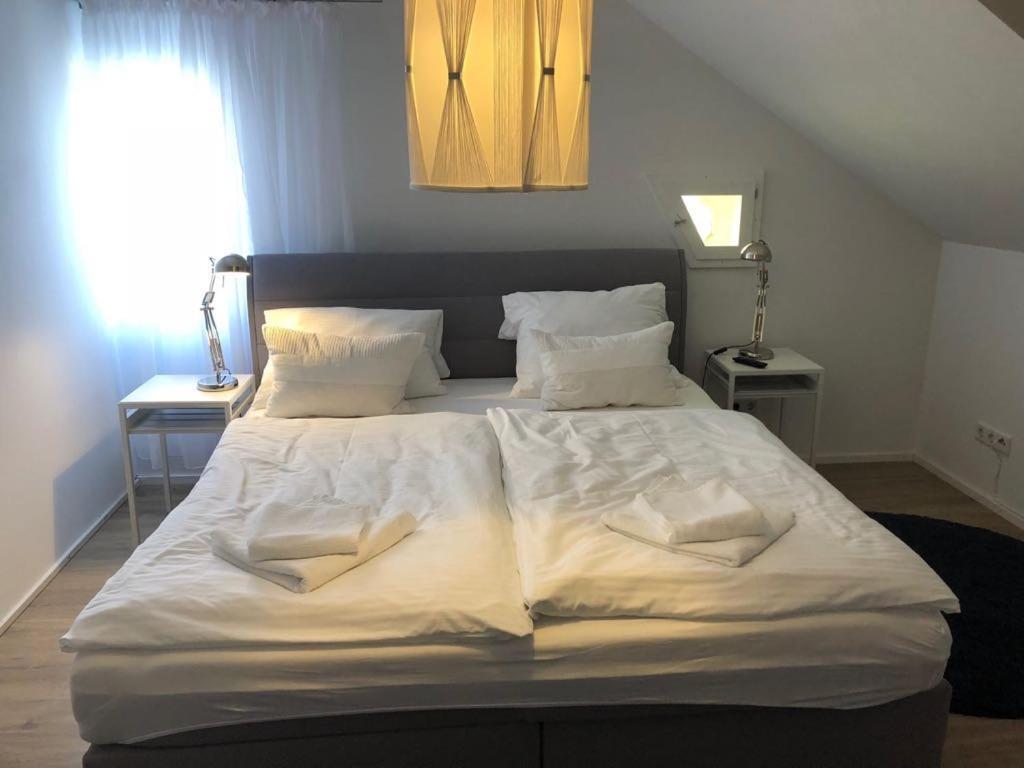 Zum Bahnhoefle Restaurant & - Am Rhein Hotel Albbruck
